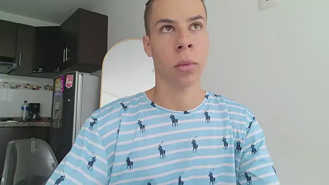 grey___27 webcam