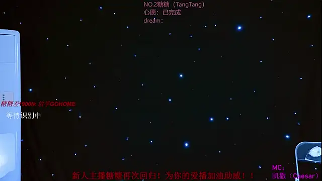 CCTW-100 webcam