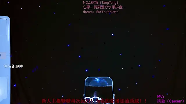 CCTW-100 webcam