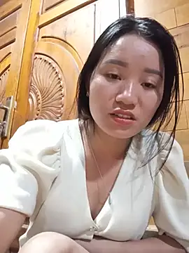 Td3di webcam