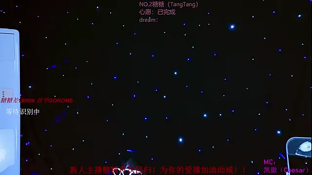 CCTW-100 webcam