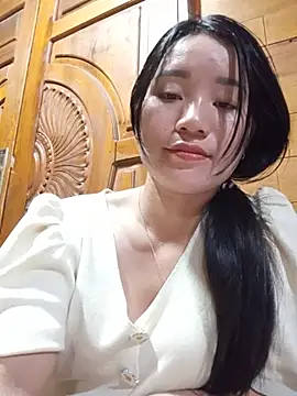 Td3di webcam