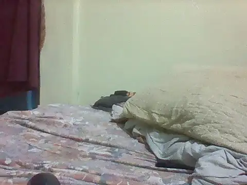 mislover webcam