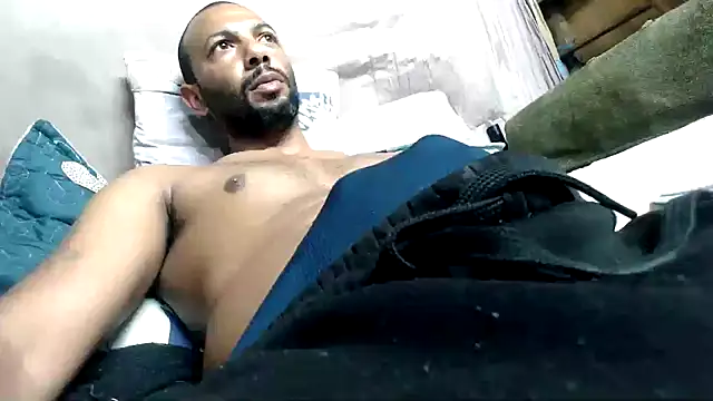 Camodick webcam