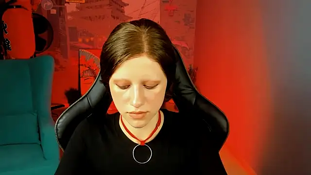 LidaDarknet webcam
