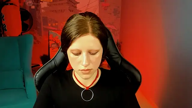 LidaDarknet webcam