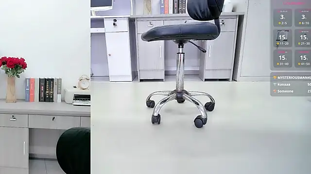 DD082511 webcam