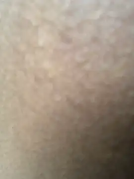 theprettysoles webcam