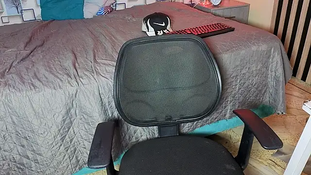 LoganSteel_ webcam