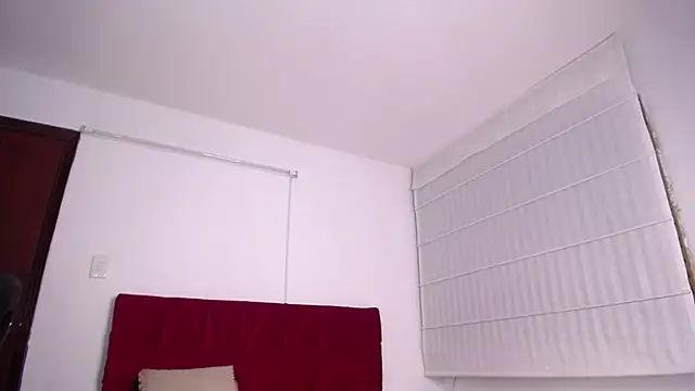 ariel_1_ webcam