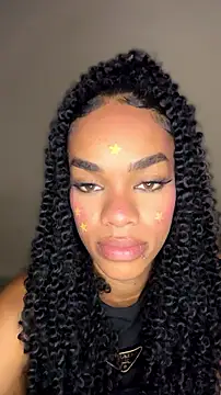 MIMICAMM webcam