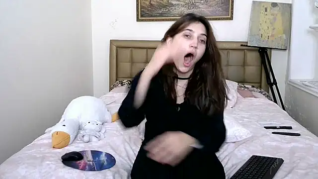Iren webcam
