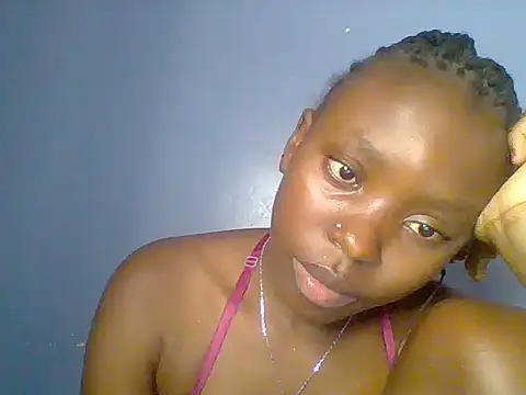 Chocolate-brownie webcam