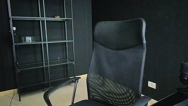 FelixStarkk webcam