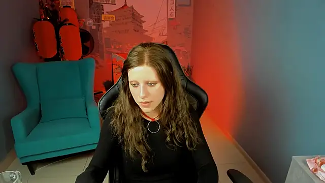 LidaDarknet webcam