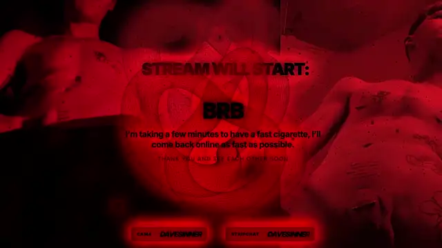 davesinner webcam