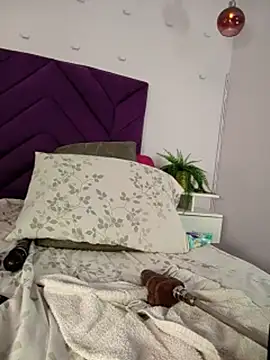 haileystone webcam