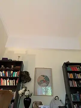 -Alisa