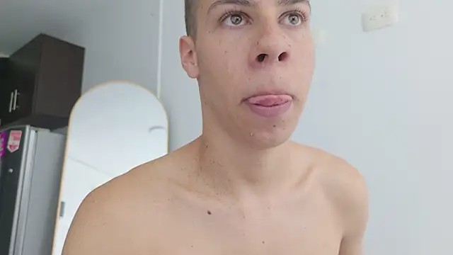 grey___27 webcam