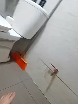 BotDamBigAss webcam