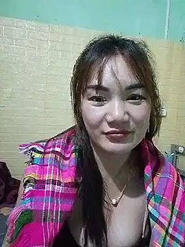 Voiva11 webcam