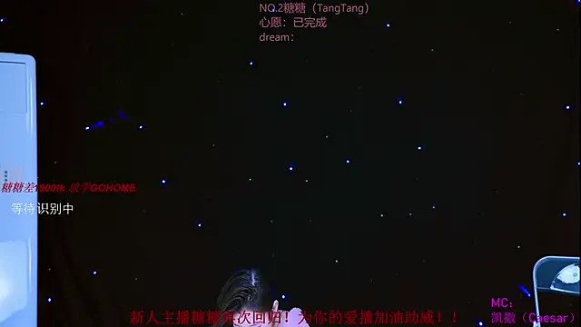 CCTW-100 webcam