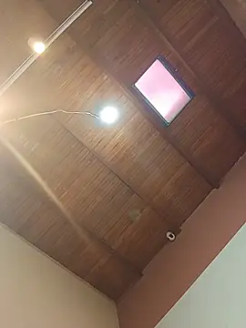 VIIOLETABLIS19 webcam