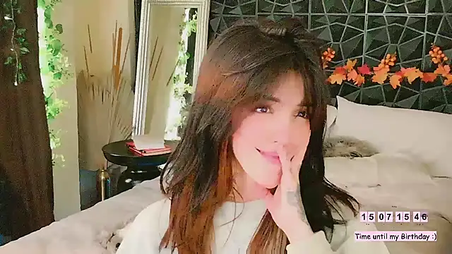 Numerotress webcam