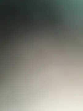 kotkite webcam