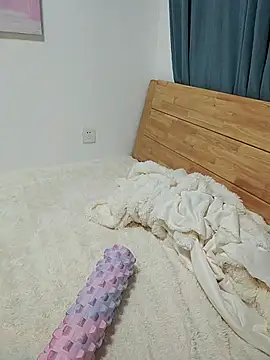 HSU8HSU webcam