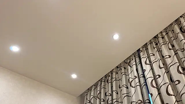dolly_ll webcam