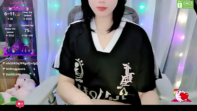Dully_ana webcam