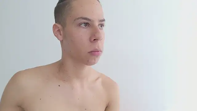 grey___27 webcam