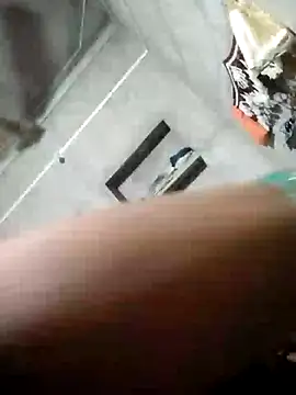 Loomaraj webcam