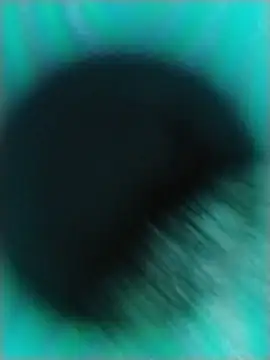 lamasrica20 webcam
