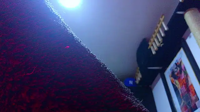 the_dog_lian webcam