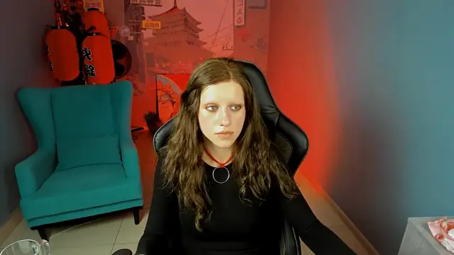 LidaDarknet webcam