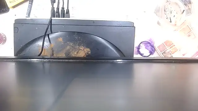 MiniSeduction webcam