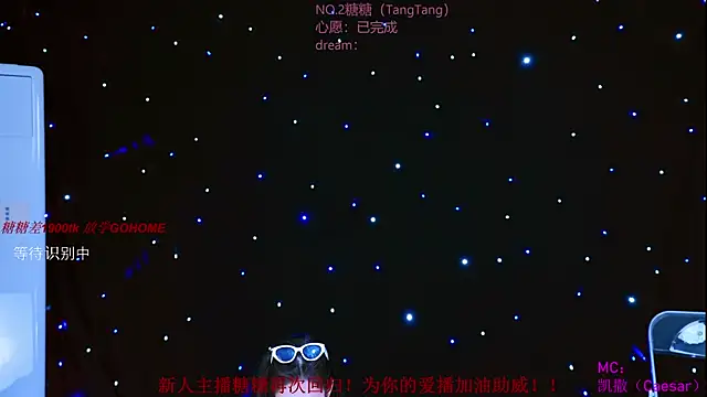CCTW-100 webcam