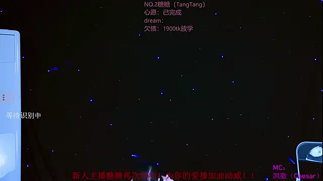 CCTW-100 webcam