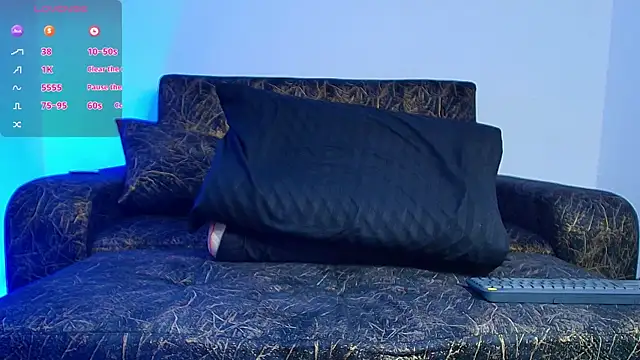 BrayaanFit webcam