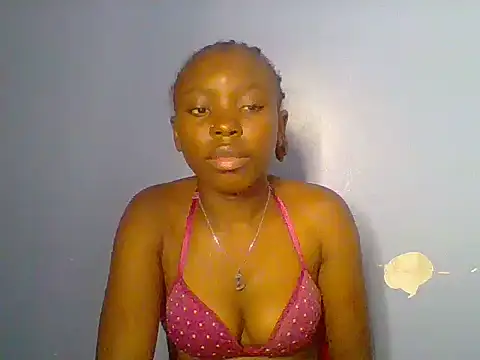 Chocolate-brownie webcam