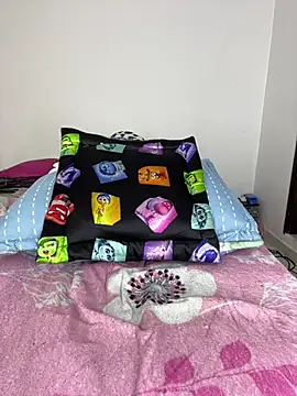 sandylau webcam