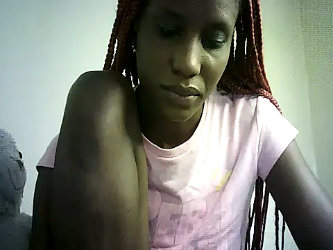 DelteAfriq webcam