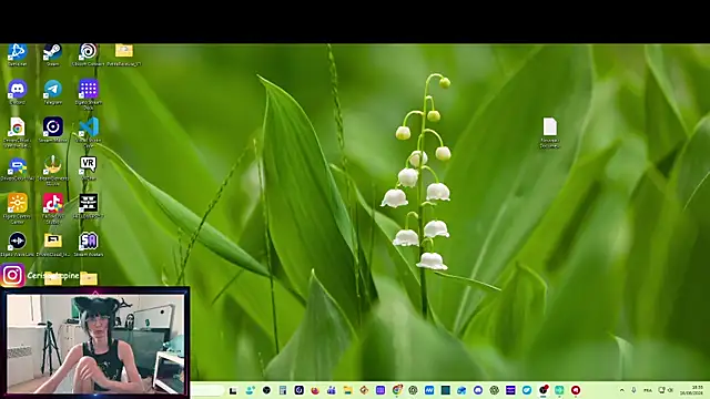 CeriseLapine webcam