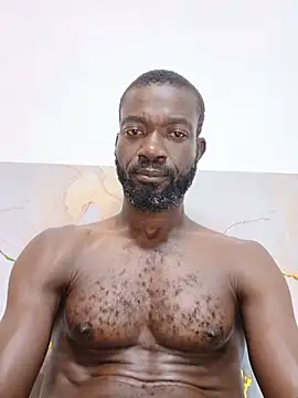Bulletact live cam on StripChat