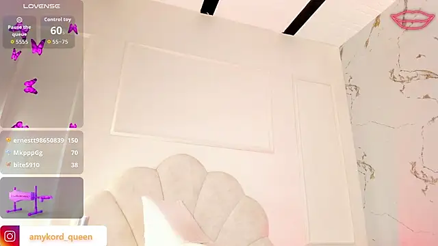 Amykord webcam