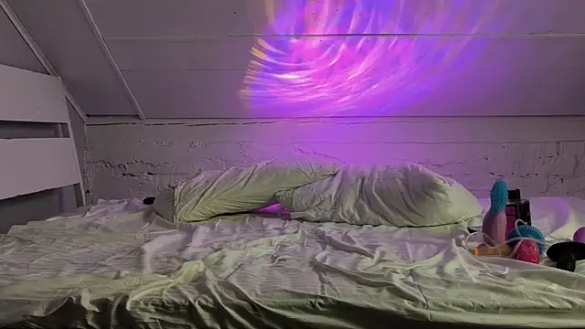 RoasHouren webcam