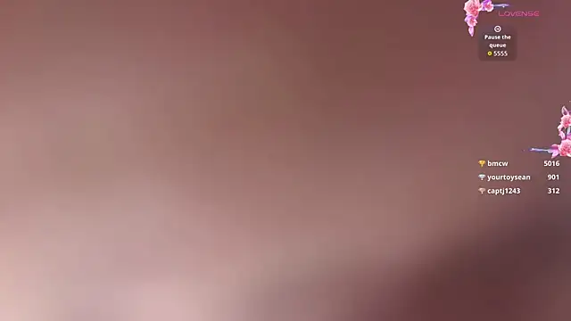 aminaliven webcam