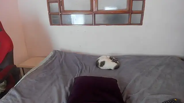 oliver_price1 webcam